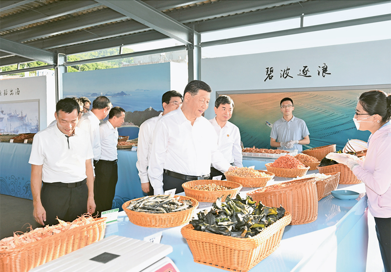 海燕论坛百家乐