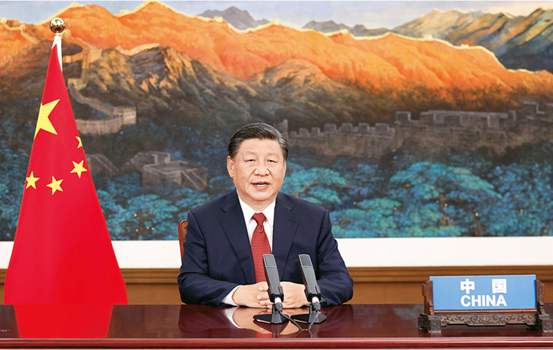 海燕论坛百家乐